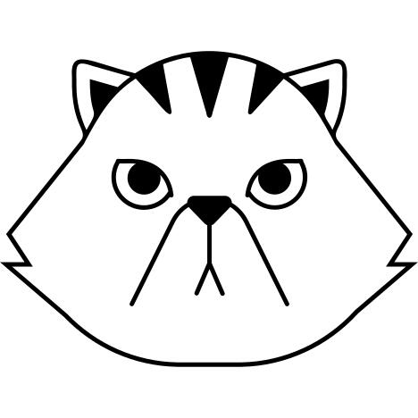 波斯猫