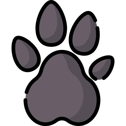 Paw