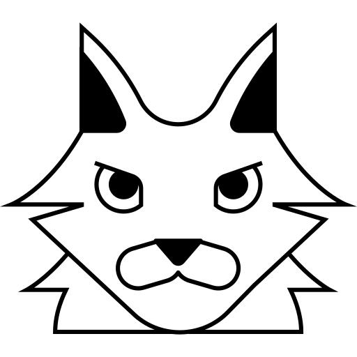 缅因浣熊猫