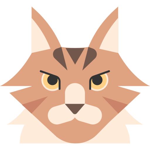 缅因浣熊猫