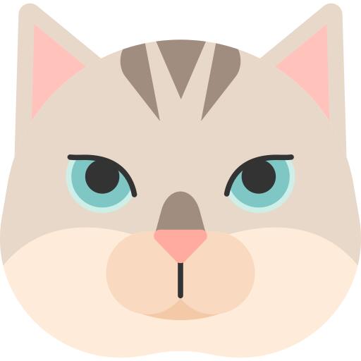 Burmilla猫