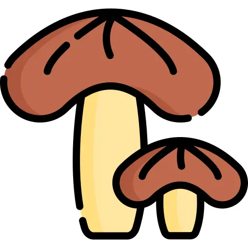 Mushroom