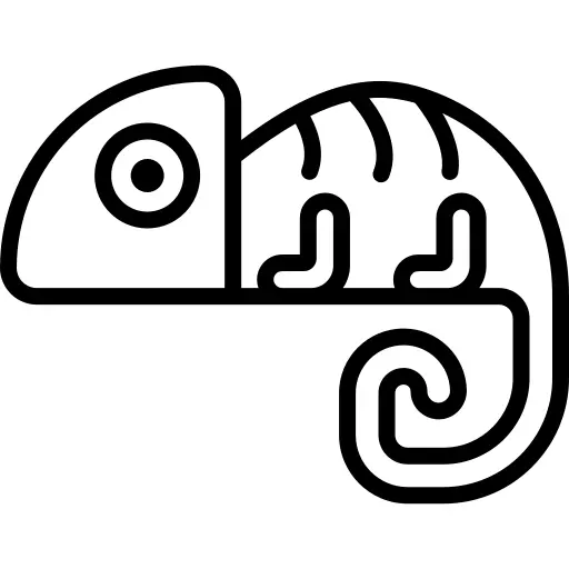 Chameleon