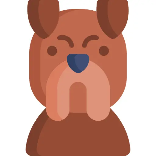 斗牛犬