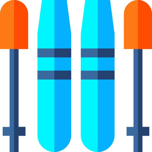 Ski