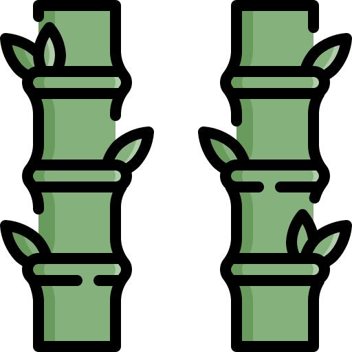 Bamboo