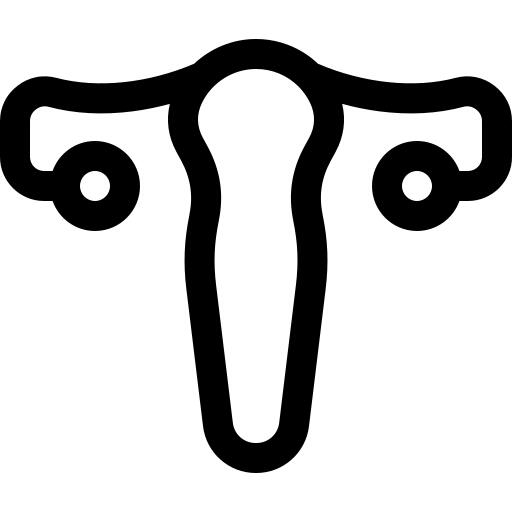 Uterus