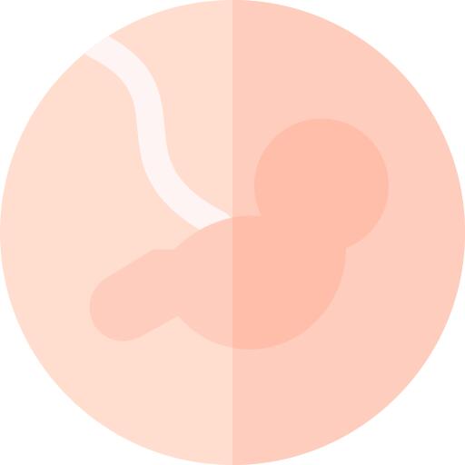 Fetus