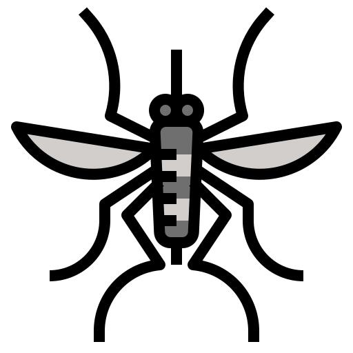 Mosquito