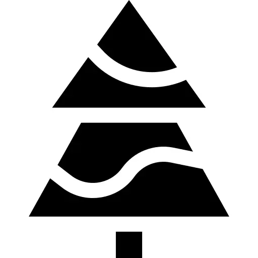 Fir
