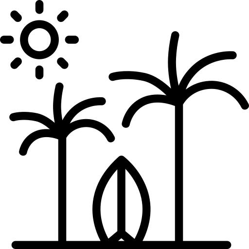 Surfboard