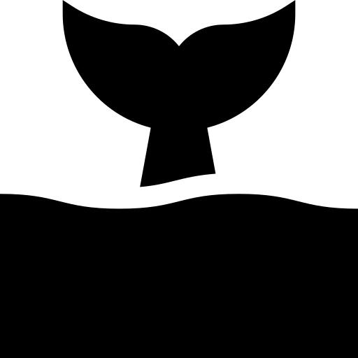 鲸