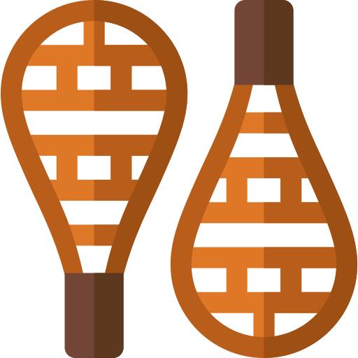 Snowshoes