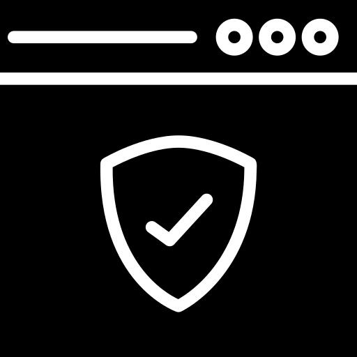 Web security