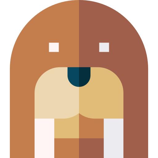 Walrus