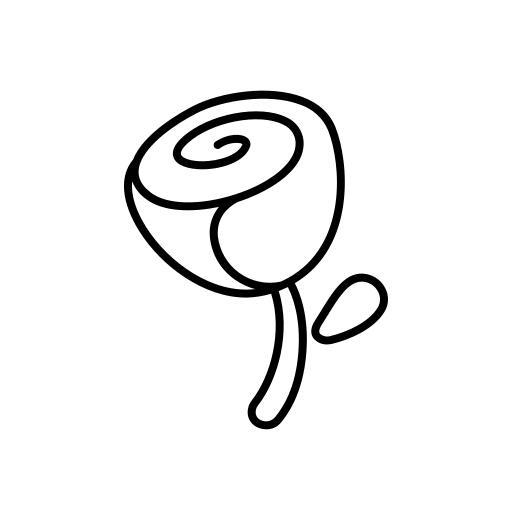 玫瑰