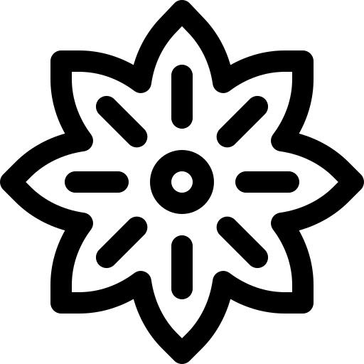 Anise