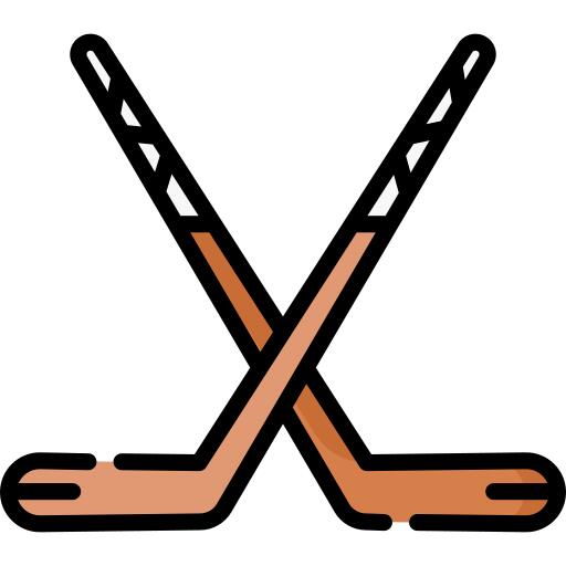 Hockey sticks
