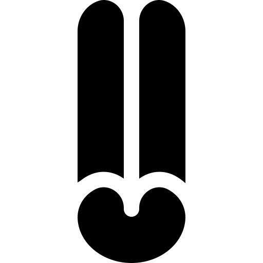 肉桂