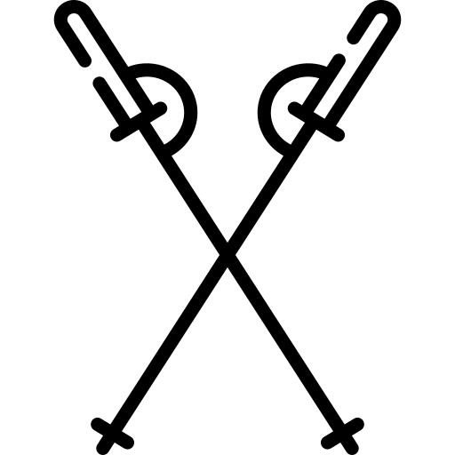 Ski poles