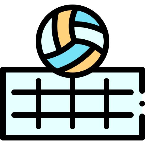 Volleyball