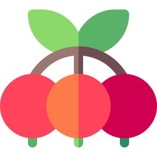 Berries