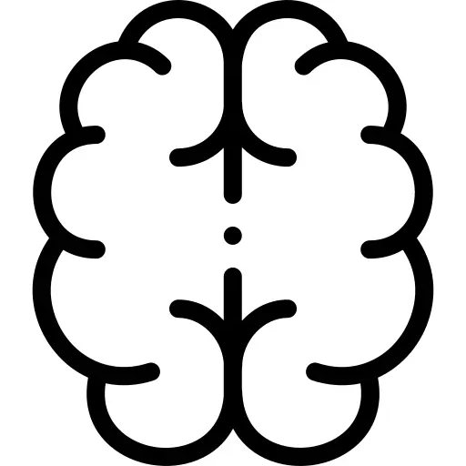 Brain