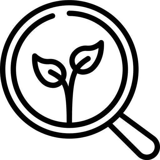 Organic search