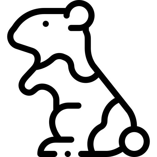 Hamster