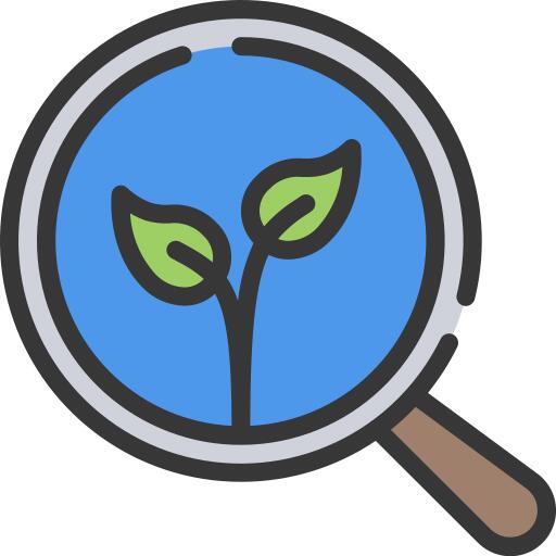 Organic search