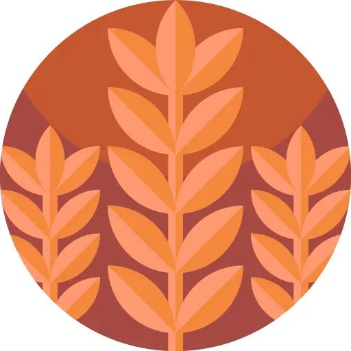 麦芽