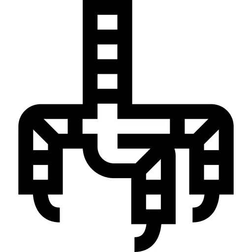 Leg