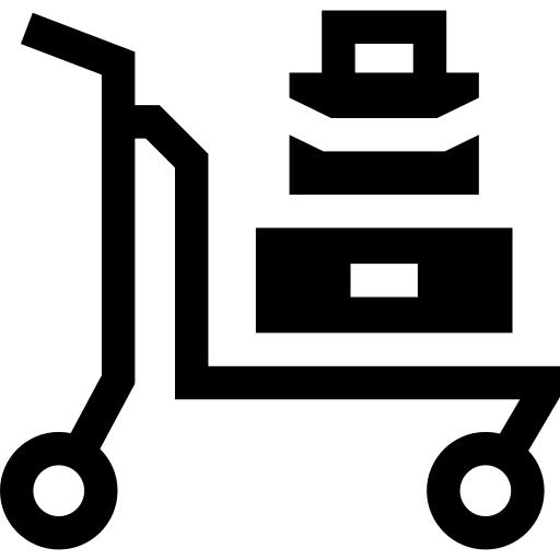 载体