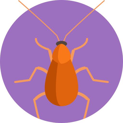 Brown banded cockroach