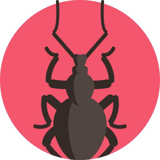 Weevil