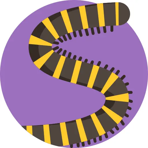 Millipedes