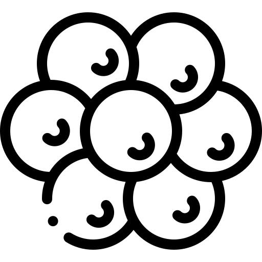 鱼子酱