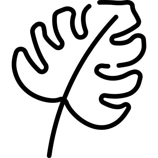 Monstera leaf