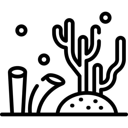 Algae
