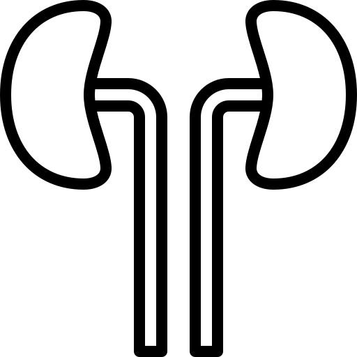 Kidneys