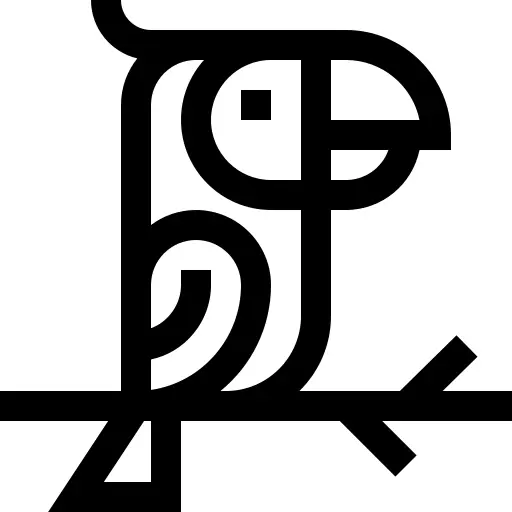 鹦鹉