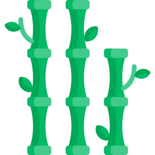 Bamboo