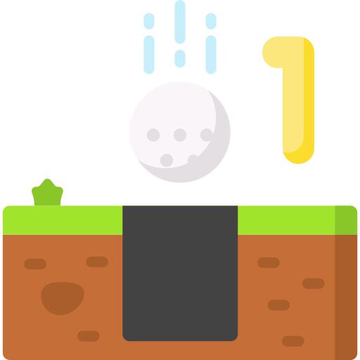 Hole in one