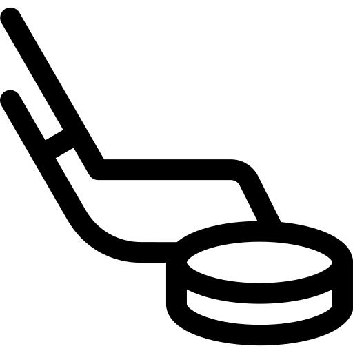 Hockey puck