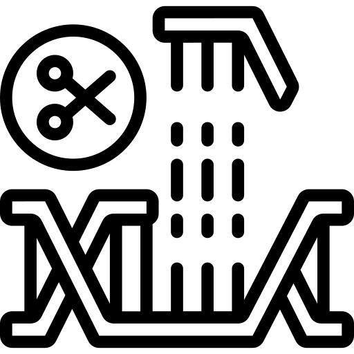 Dna