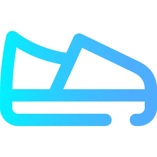 Shoe