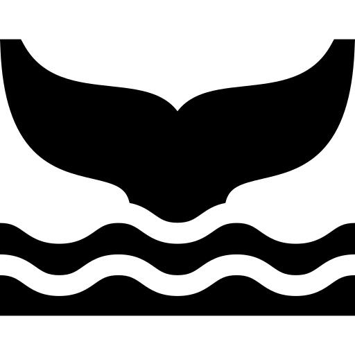 鲸