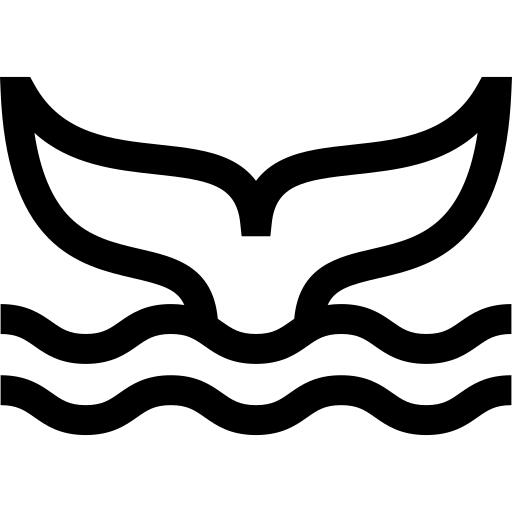 鲸