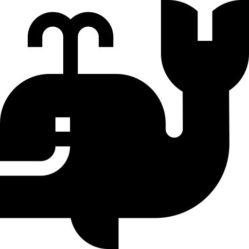 鲸
