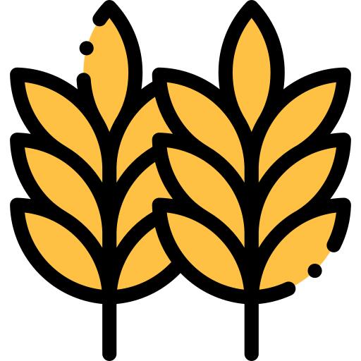 谷物